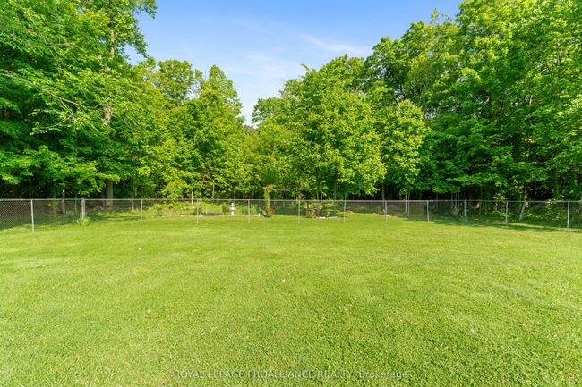 109 Old Madoc Rd, House other with 3 bedrooms, 1 bathrooms and 10 parking in Foxboro ON | Image 36
