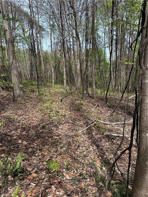 0 Will Boone Rd, Mocksville, NC, 27028 | Card Image