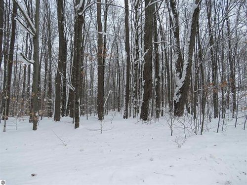 0 W 38 Rd, Harrietta, MI, 49638 | Card Image