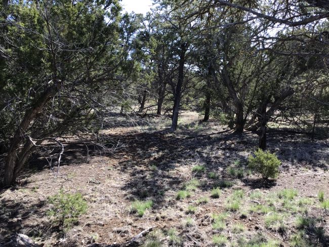 Lot 7 Red Fox Road, Home with 0 bedrooms, 0 bathrooms and null parking in Ramah NM | Image 20