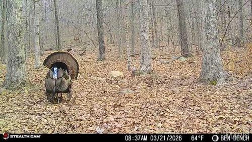 0 Highway O, Fredericktown, MO, 63645 | Card Image