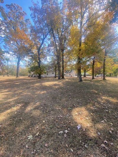 Beautiful .9 acre lot with huge mature trees | Image 2