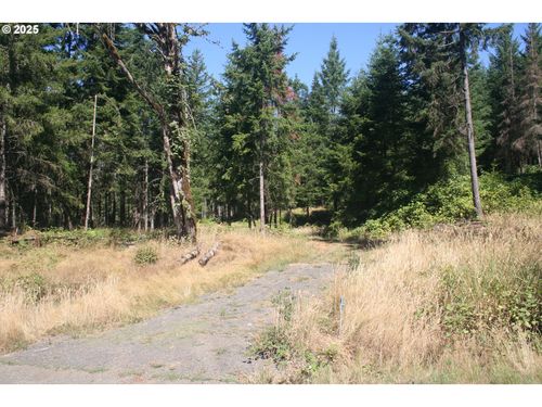 3647 Briar Knob Loop Ne, Scotts Mills, OR, 97375-9690 | Card Image