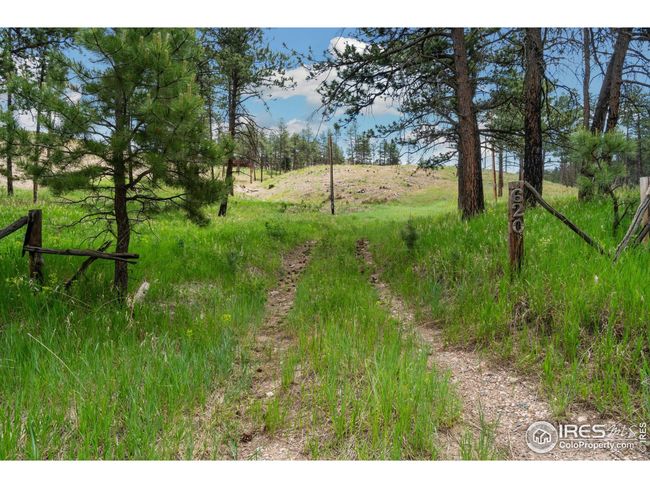 620 Davis Ranch Rd, House other with 3 bedrooms, 4 bathrooms and null parking in Bellvue CO | Image 9
