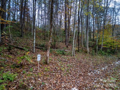 8-64 Cherry Cove Way, Old Fort, NC, 28762 | Card Image