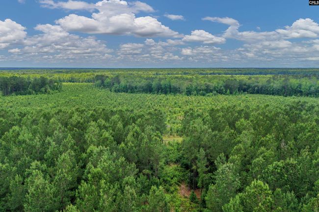 0000 N Brewington Rd, Home with 0 bedrooms, 0 bathrooms and null parking in Manning SC | Image 16