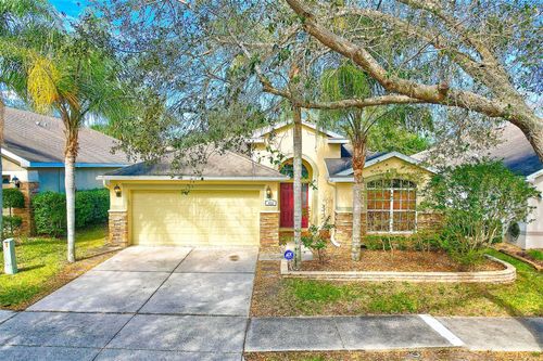 422 Down Pine Dr, SEFFNER, FL, 33584-3719 | Card Image