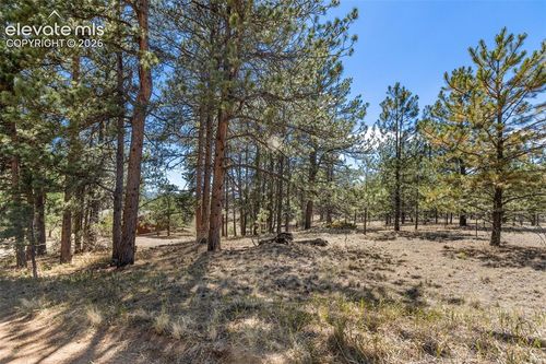 349 Rhyolite Lane, Florissant, CO, 80816 | Card Image