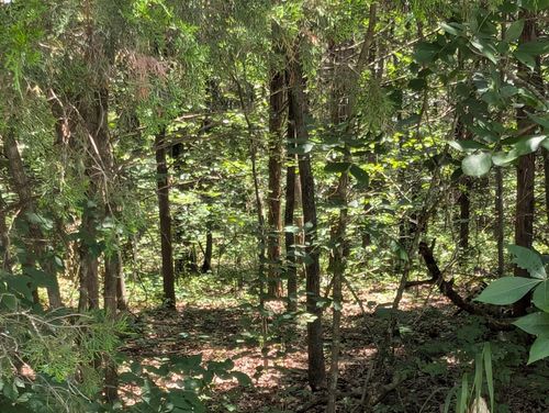 6 Lots Farm Road 1255, Shell Knob, MO, 65747 | Card Image