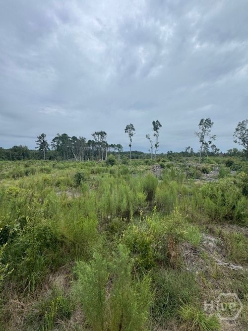 0 Kennedy Bridge Rd, register, GA, 30452 | Card Image