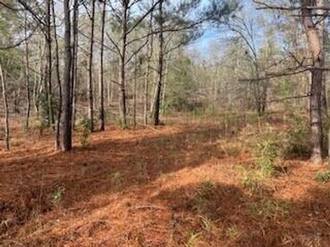 3365 Columbia Hwy N, Home with 0 bedrooms, 0 bathrooms and null parking in Ridge Spring SC | Image 9