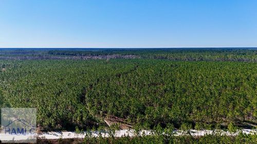 28 AC Owens Road, Odum, GA, 31555 | Card Image