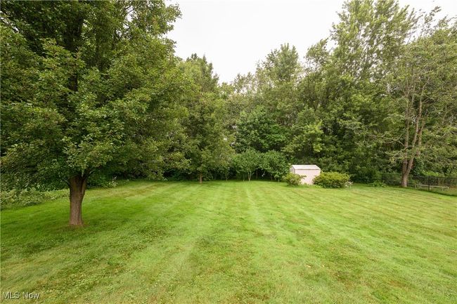 View of yard featuring an outbuilding | Image 21