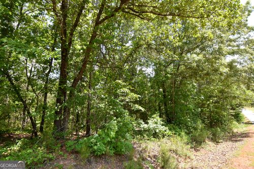 lot-13-0 Skelton Road, Thomaston, GA, 30286 | Card Image