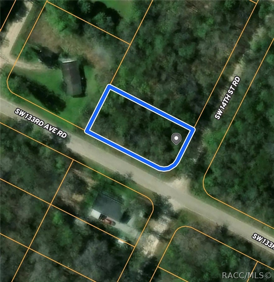 Land in Ocala 3