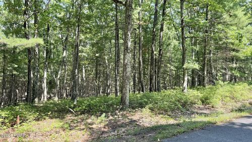 Lot 45 Soose Ct, Tafton, PA, 18464 | Card Image
