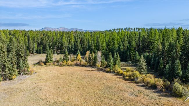 3217 Loon Lake Rd, Home with 0 bedrooms, 0 bathrooms and null parking in Trego MT | Image 27