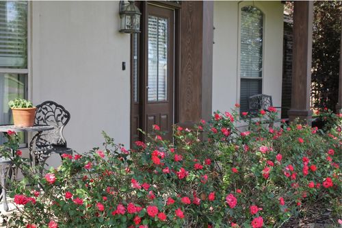 8788 Wyeth Dr, Denham Springs, LA, 70706-8575 | Card Image