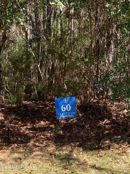 Lot 60 Middleton Pl, Biloxi, MS, 39532-4674 | Card Image