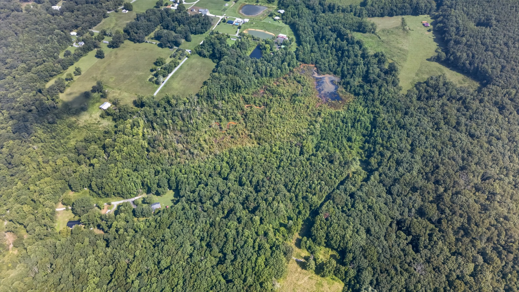 Land in Palmer 4