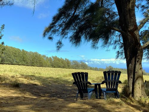 54-640 Hall Rd, Kapaau, HI, 96755 | Card Image