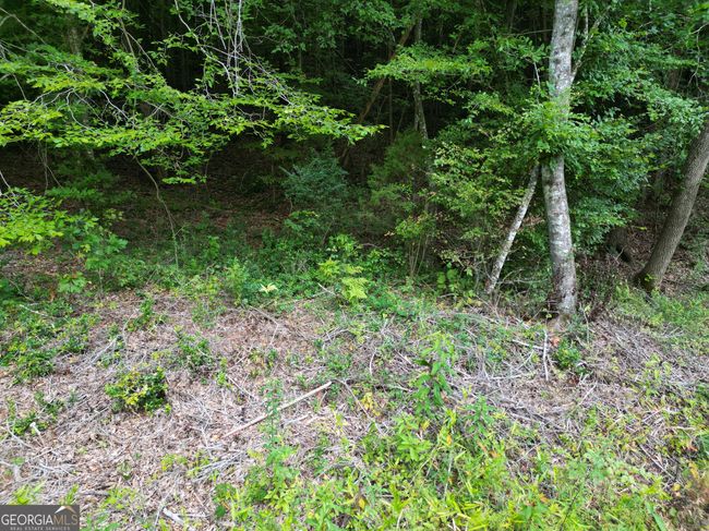 TRACT 2 Harbert Valley Rd, Home with 0 bedrooms, 0 bathrooms and null parking in Toccoa GA | Image 14