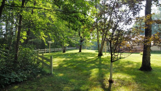 Lovely Serene Backyard | Image 34