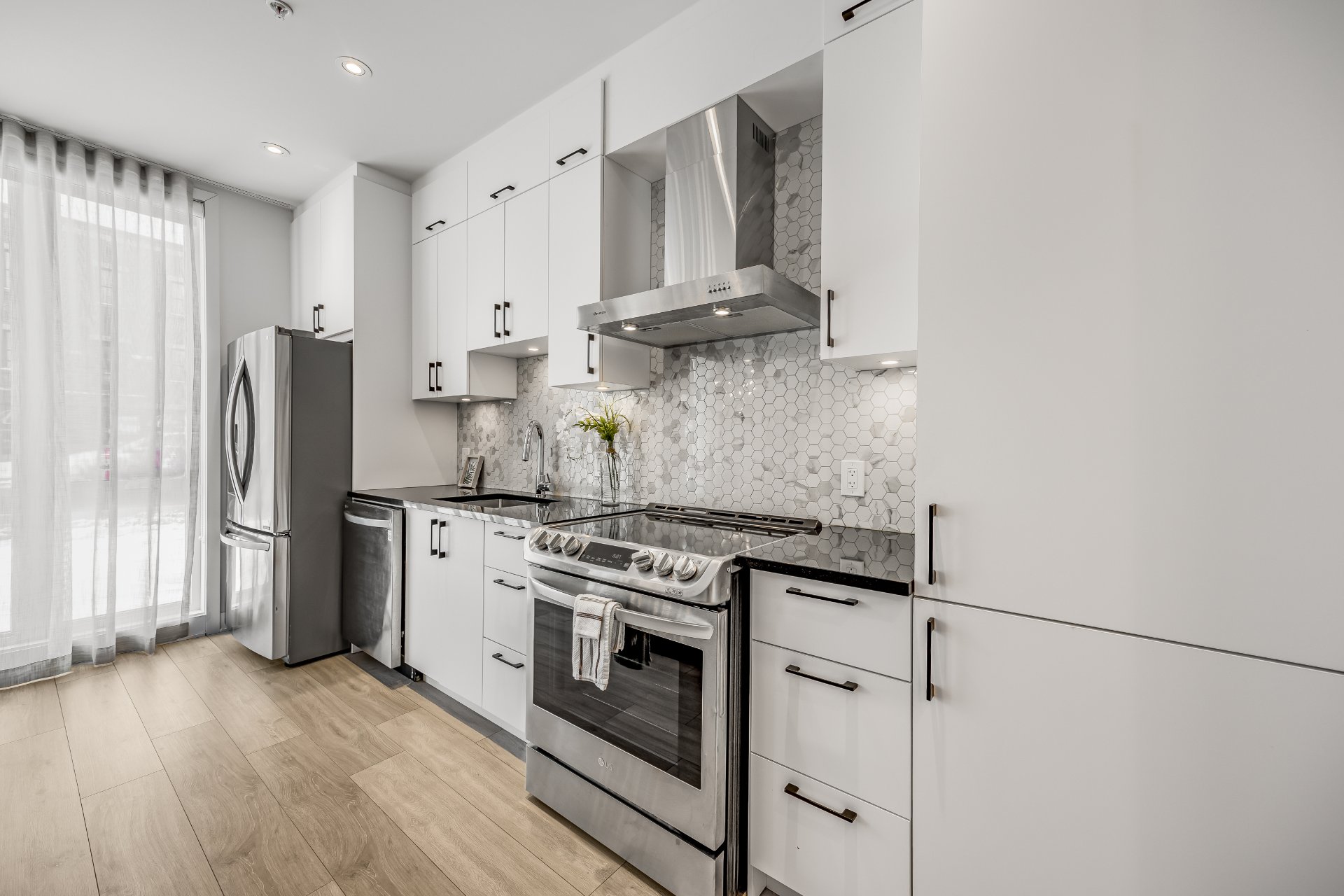 Residential in Montréal (Rosemont/La Petite-Patrie) 5