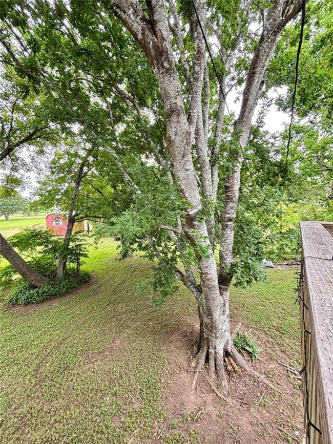 491 Carancahua Blvd, House other with 2 bedrooms, 1 bathrooms and 2 parking in Palacios TX | Image 19