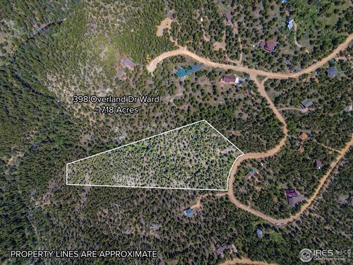 398 Overland Dr, Ward, CO, 80481-9526 | Card Image