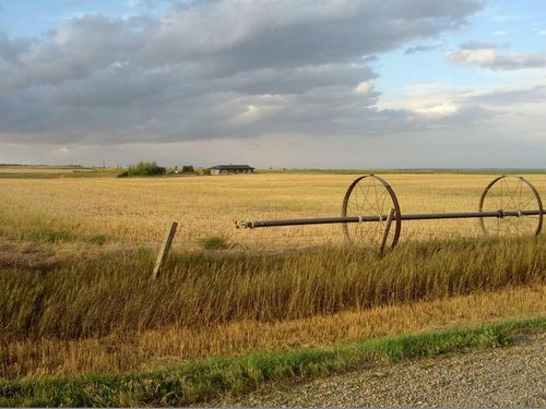 124025 Range Road 214, Picture Butte, AB, T0K1V0 | Card Image