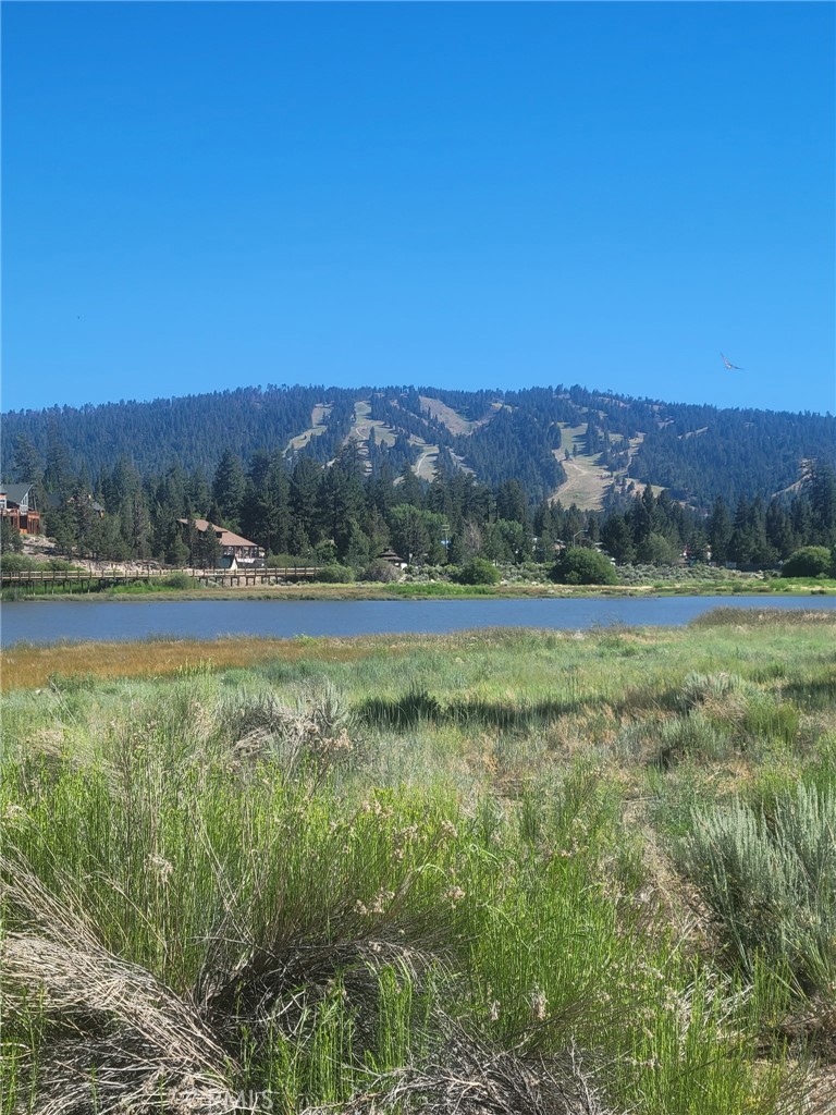 Land in Big Bear City 5
