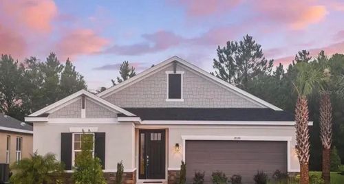 33320 Castaway Loop, WESLEY CHAPEL, FL, 33543-7351 | Card Image
