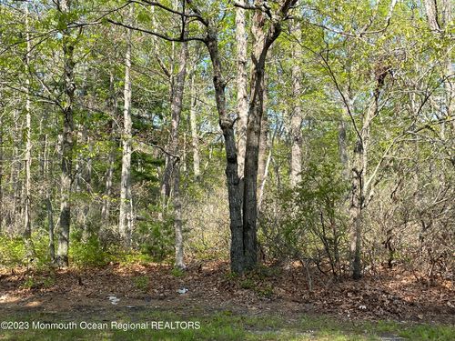 0 Stafford Forge Road, Eagleswood, NJ, 08092 | Card Image