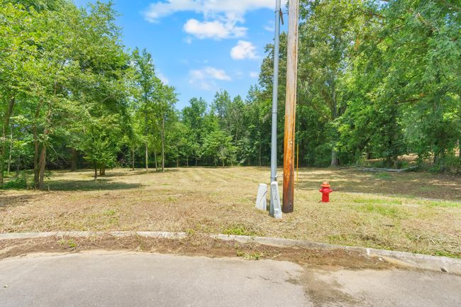 0 Majestic Dr, Home with 0 bedrooms, 0 bathrooms and null parking in Decherd TN | Image 11