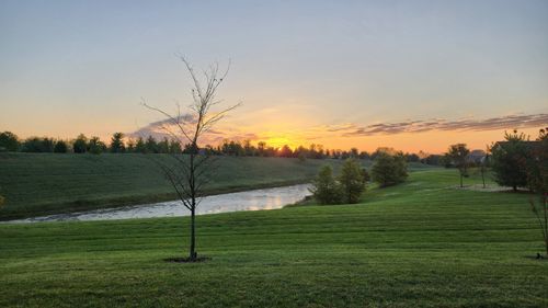 1331 Madison Ln, Spring Hill, TN, 37174-0405 | Card Image