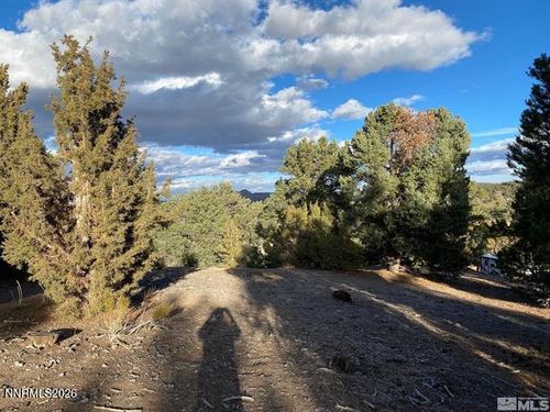 21650 Palamino Road, Reno, NV, 89521 | Card Image