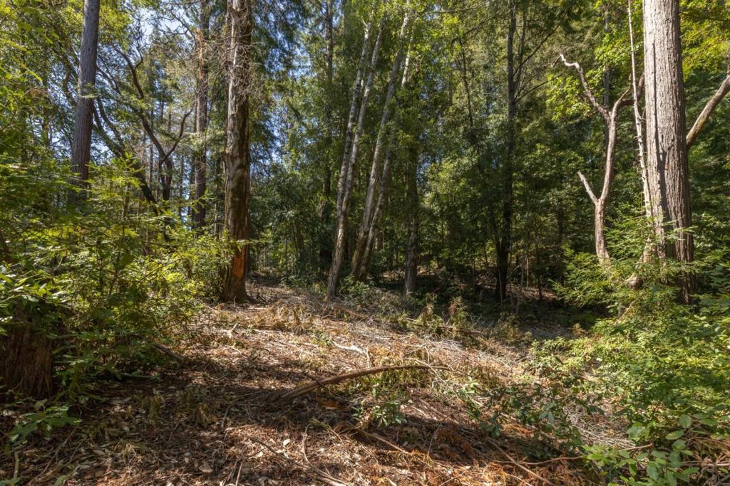Land in Brookdale 5