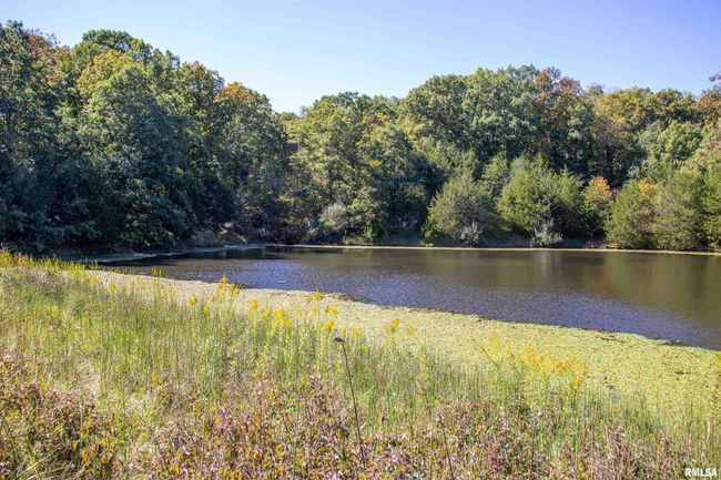 27232 215 Th St, Home with 5 bedrooms, 4 bathrooms and null parking in Canton MO | Image 38