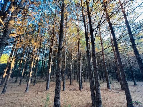 TBD County Road 3659, Queen City, TX, 75572 | Card Image