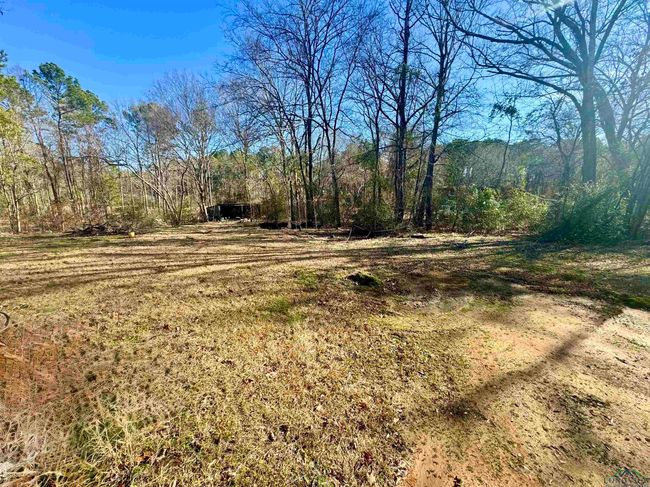 4615 S Sego Lilly Rd, House other with 4 bedrooms, 2 bathrooms and null parking in New Diana TX | Image 4