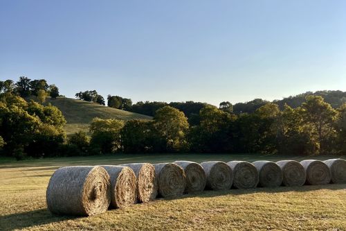 0 Pulaski Hwy, Culleoka, TN, 38451 | Card Image