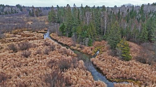 TBD Tbd County Road 444, Hibbing, MN, 55746 | Card Image