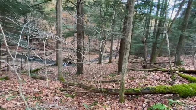 15 Gorge Rd, Home with 0 bedrooms, 0 bathrooms and null parking in Middleburgh NY | Image 11