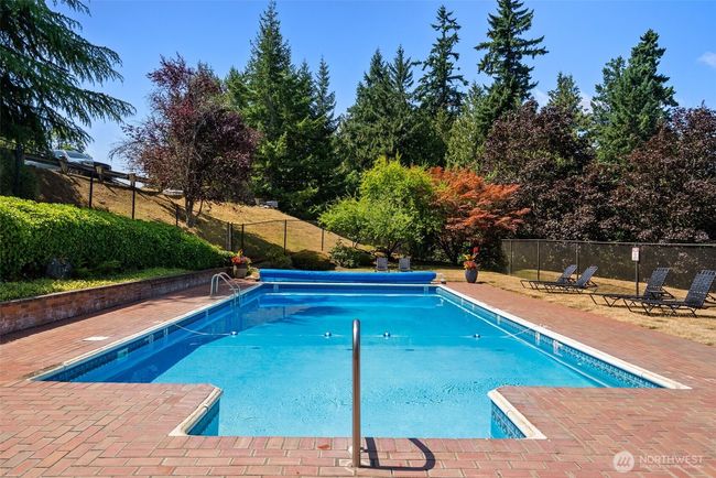 Sparkling pool | Image 24