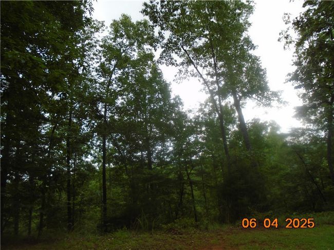 1000 E Cedar Creek Rd, Home with 0 bedrooms, 0 bathrooms and null parking in Sunset SC | Image 11