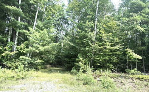 21 Bolton Landing-Riverbank Rd, Bolton Landing, NY, 12814 | Card Image