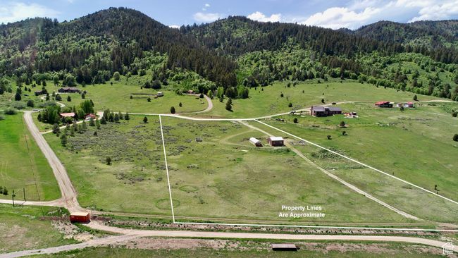 Overview of rural landscape featuring a heavily wooded area, a mountain backdrop, and a pastoral area | Image 4