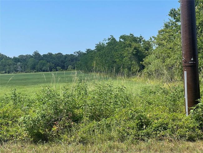 00 1462, Home with 0 bedrooms, 0 bathrooms and null parking in Damon TX | Image 7