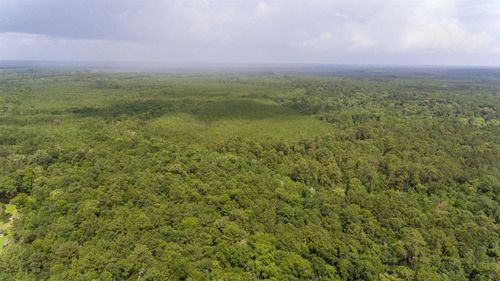 TBD Old Beaumont Hwy, Silsbee, TX, 77656 | Card Image